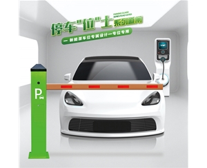 郯城RG-CW系列车位小道闸